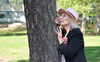 Ei mikään auktoriteetti