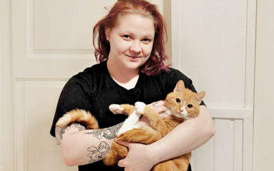 Elina Hotakainen: Kysy, älä oleta